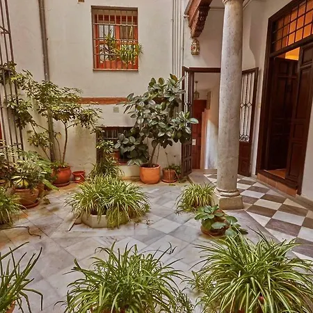 Apartment Spacious Sunny And Quiet Albayzin